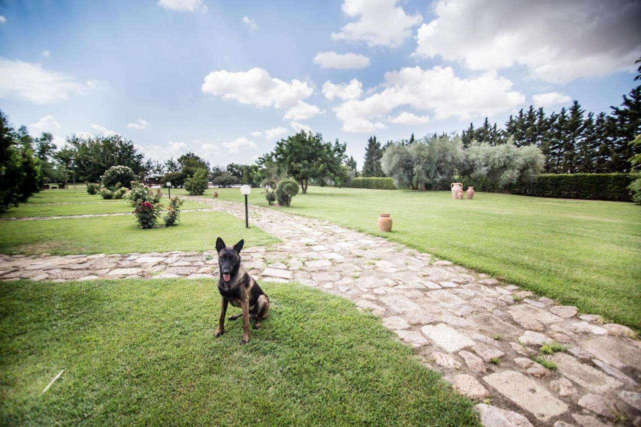 Agriturismo Le Giare Bagno Roselle Exterior photo